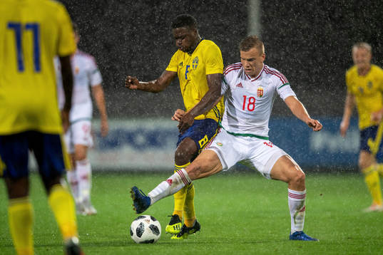 Sveriges Isak Ssewankambo och Ungerns Attila Harris