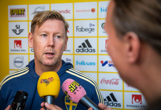 Sveriges assisterande förbundskapten Peter Wettergren