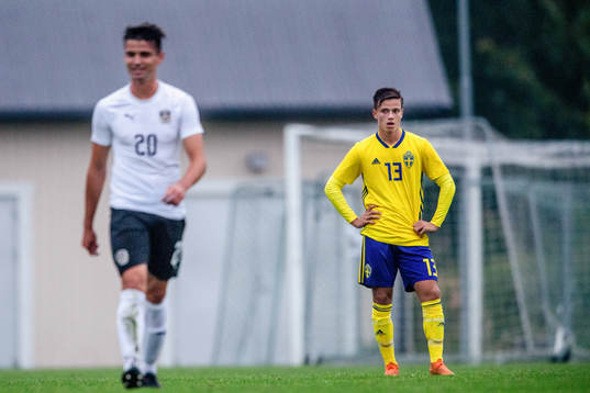 Sveriges Pavle Vagic  deppar