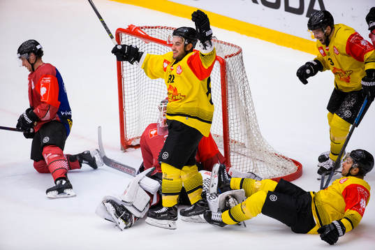 Chris Desousa of Vienna celebrates scoring 0-3
