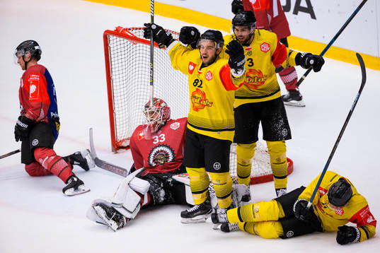 Chris Desousa of Vienna celebrates scoring 0-3