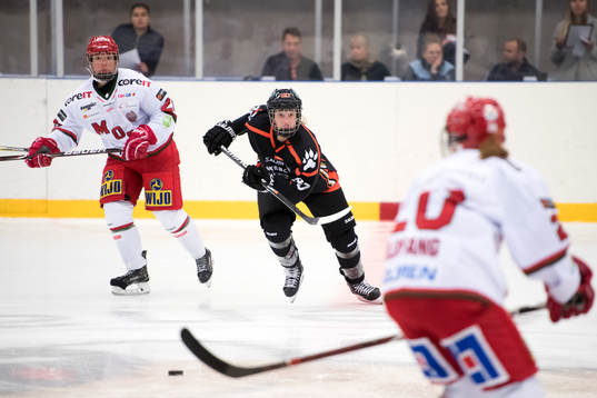 Göteborgs Anna Borgfeldt