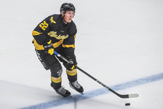 Västerås Johan Skinnars