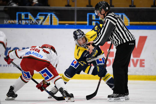 s Riikka Välilä tekar