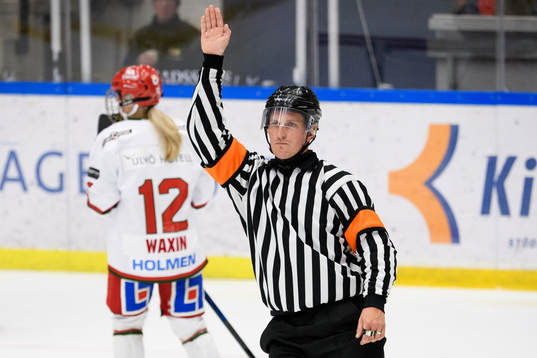 Domare Anton Söderlind