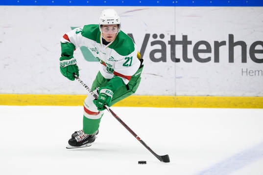 Rögles Nils Höglander