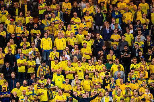 Supporters of Sweden