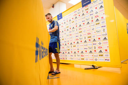 Sebastian Larsson of Sweden looks dejected