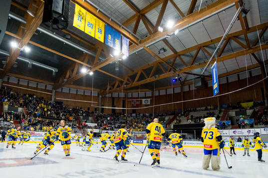 Players of Storhamar