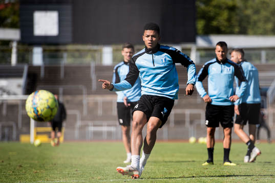 Romain Gall