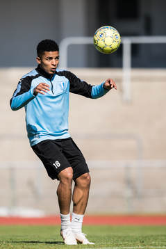 Romain Gall