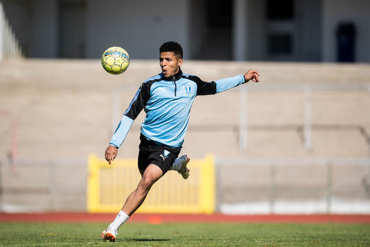 Romain Gall
