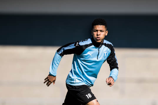 Romain Gall