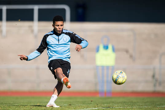 Romain Gall