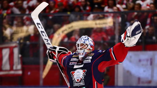 Linköpings målvakt Jonas Gustavsson