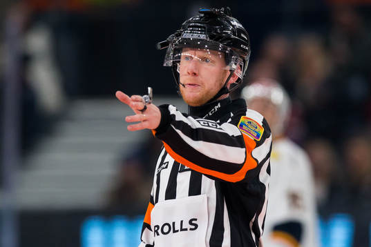 Domare Mikael Holm