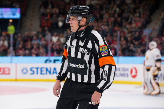 Domare Morgan Johansson