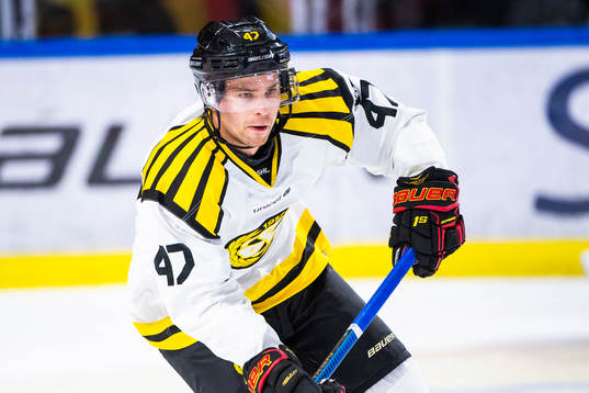Brynäs Eric Norin