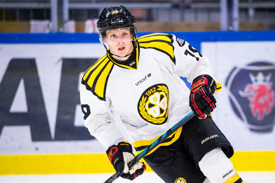 Brynäs Daniel Mannberg
