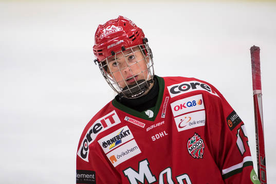 Modos Ronja Mogren