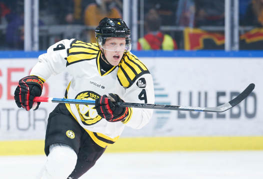 Brynäs Niclas Lundgren i ishockeymatchen i SHL mellan