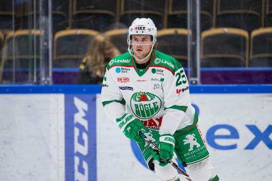Rögles Ludvig Elvenes