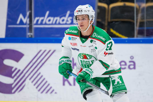 Rögles Leon Bristedt