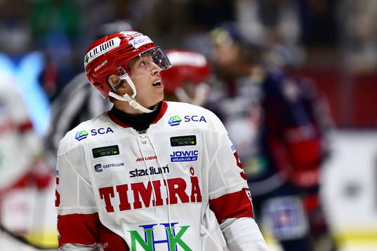 Timrås Vilmos Gallo