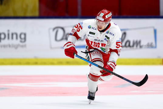 Timrås Vilmos Gallo
