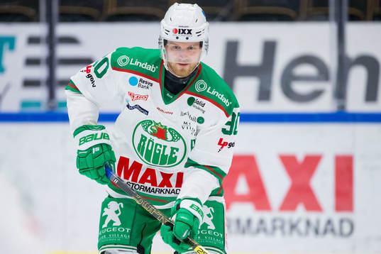 Rögles Ted Brithén