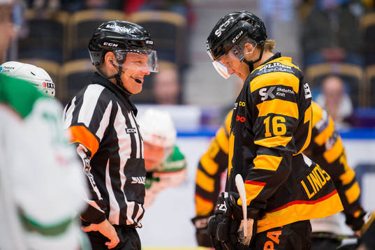 Domare Wolmer Edqvist och Skellefteås Linus Lindström