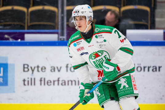 Rögles Daniel Zaar