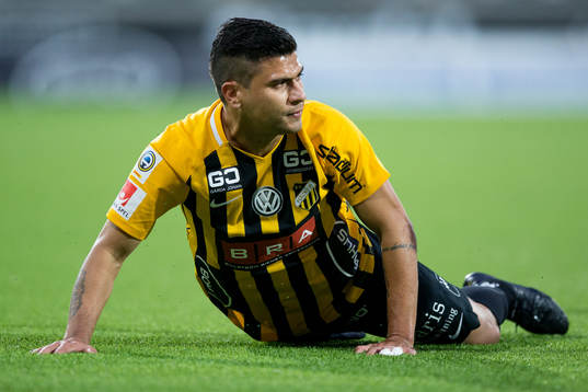 Häckens Paulinho liggande