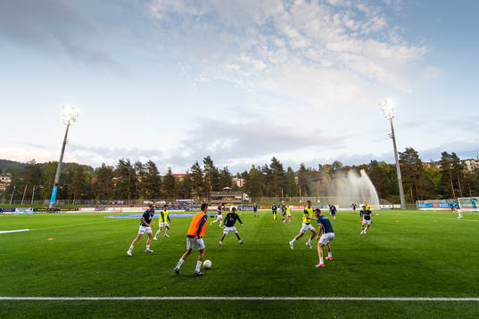 Players of Viking