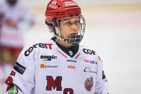 Modos Annelie Zander