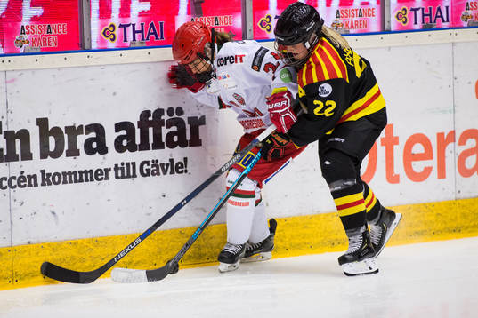 Närkamp vid sargen mellan Modos Michela Cava och Brynäs