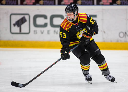 Brynäs Jennifer Wakefield