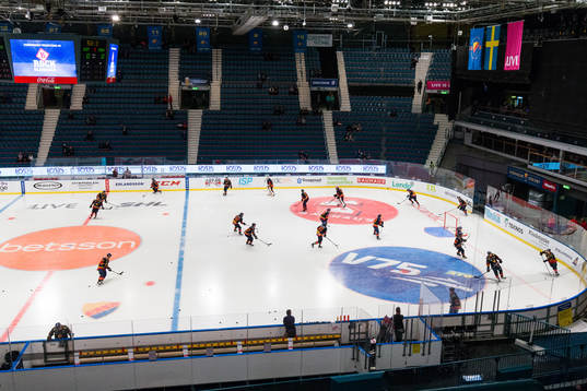 Djurgårdens spelare