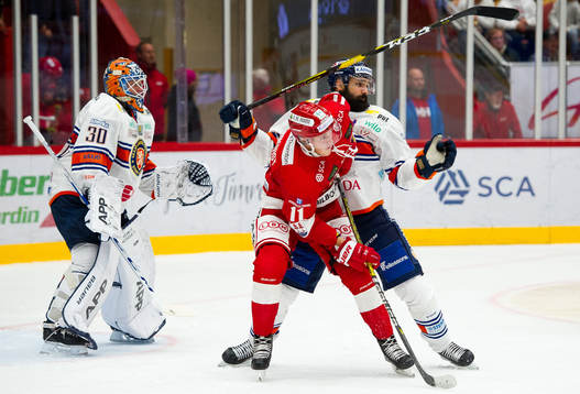 Timrås Henrik Törnqvist och Daniel Rahimi