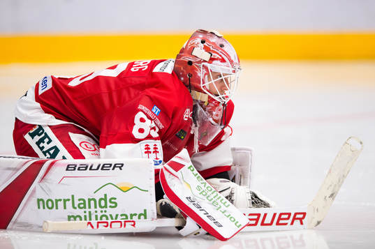Timrås Niklas Svedberg