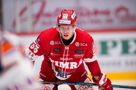 Timrås Vilmos Gallo