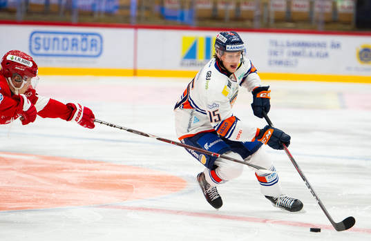 Växjös Dominik bokk