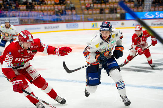 Timrås David Pritz och Växjös Dominik bokk