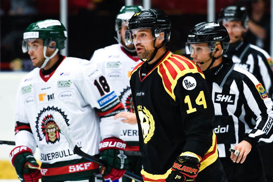 Brynäs Johan Alcén