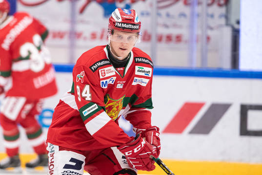 Moras Sebastian Hartmann  i ishockeymatchen i SHL mellan