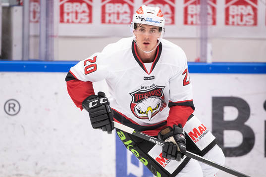 Malmö Redhawks Henrik Hetta  i ishockeymatchen i SHL