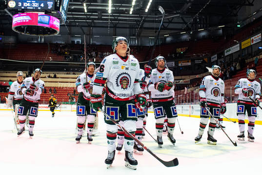 Bläddra bland fler bilder av Ishockey, SHL, Brynäs - Frölunda