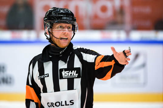 Domare Mikael Holm