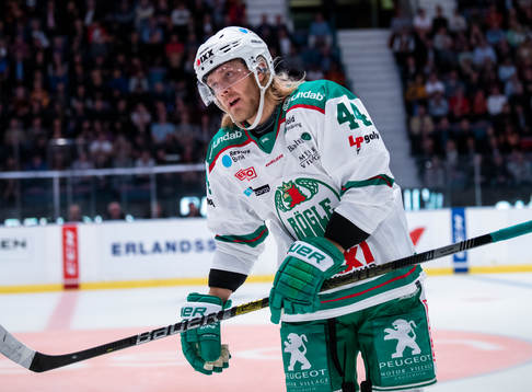 Rögles Olle Liss