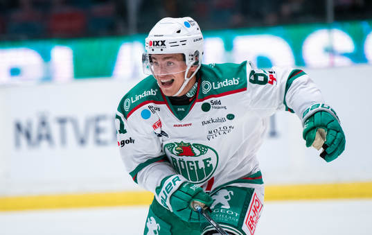 Rögles Leon Bristedt